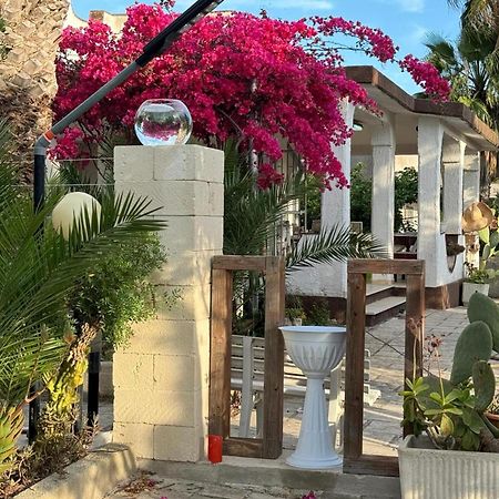 Villa Torretta - Mare Salento マリーナ・ディ・リッツァーノ エクステリア 写真