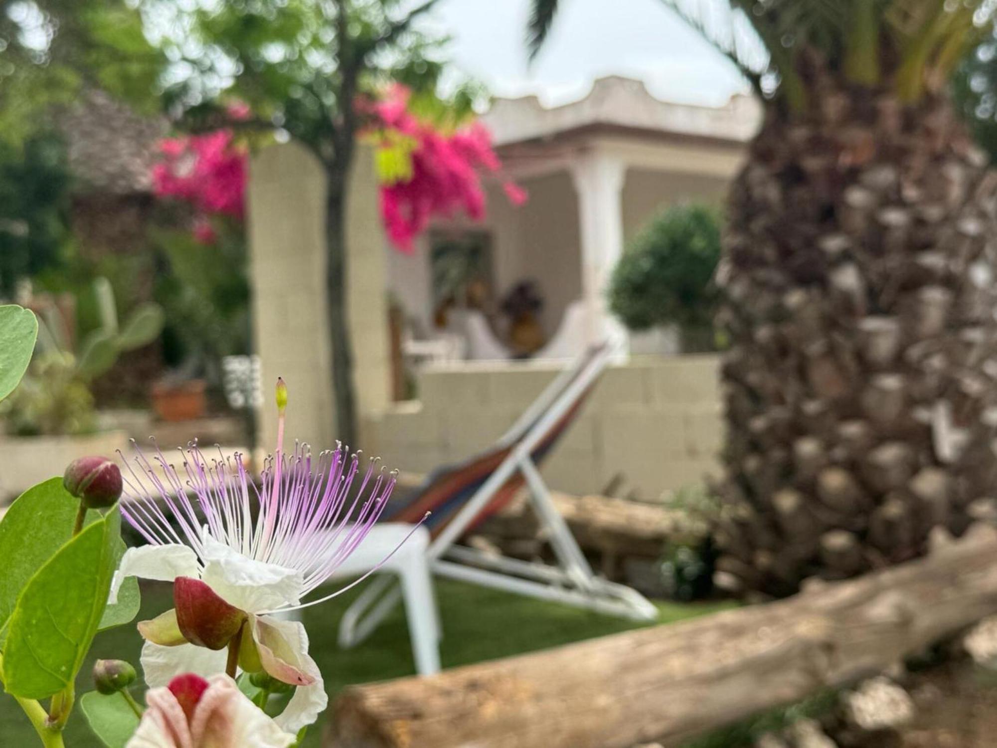 Villa Torretta - Mare Salento マリーナ・ディ・リッツァーノ エクステリア 写真