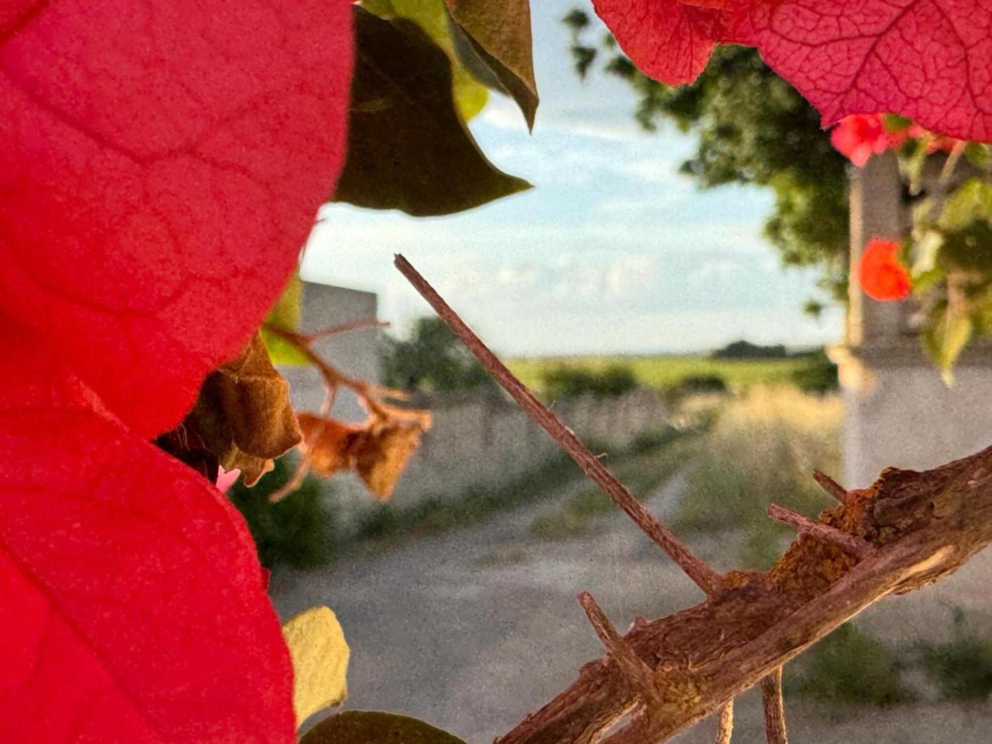 Villa Torretta - Mare Salento マリーナ・ディ・リッツァーノ エクステリア 写真