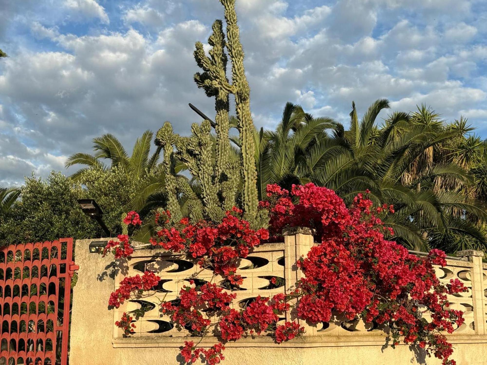 Villa Torretta - Mare Salento マリーナ・ディ・リッツァーノ エクステリア 写真