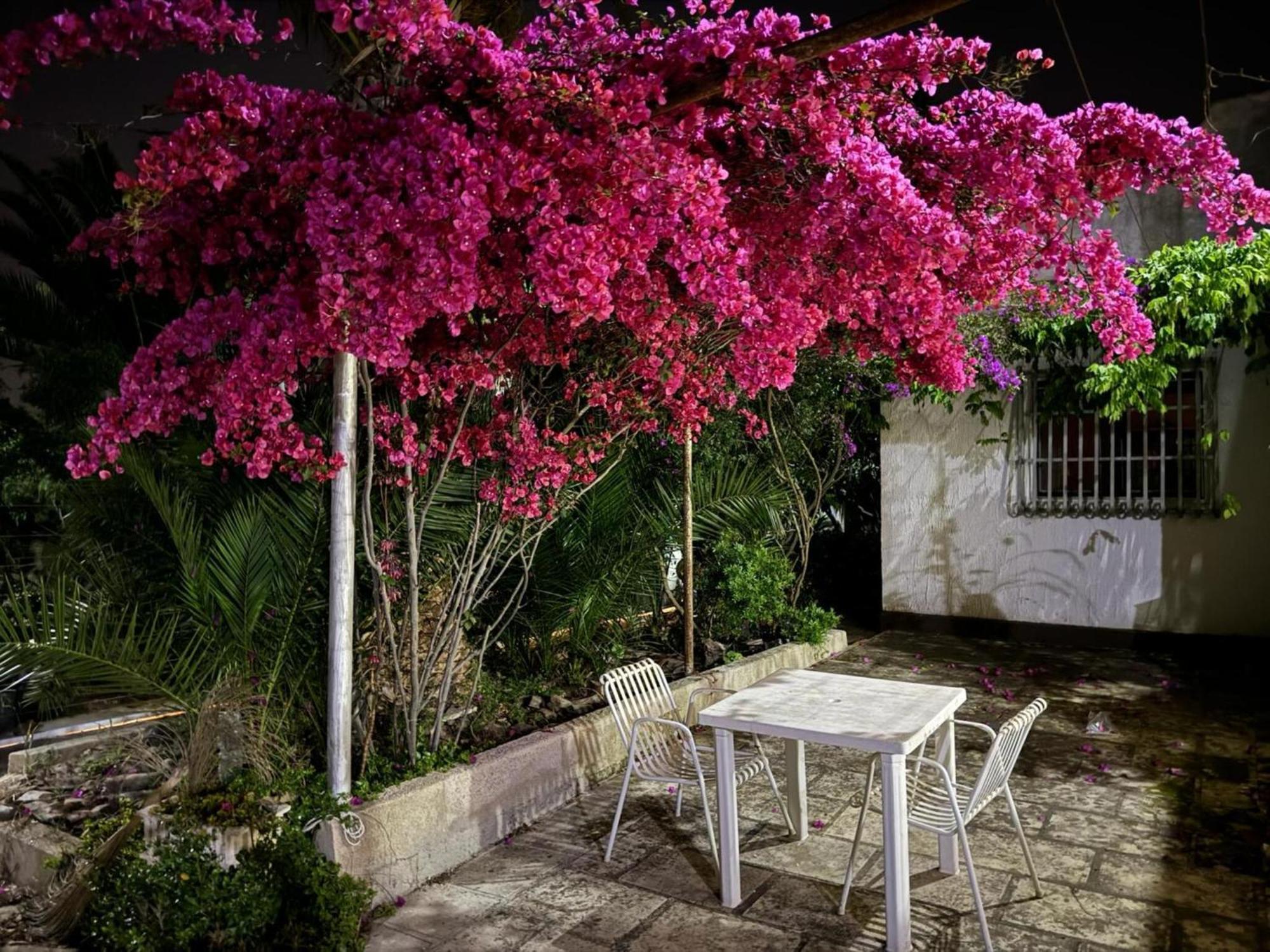 Villa Torretta - Mare Salento マリーナ・ディ・リッツァーノ エクステリア 写真
